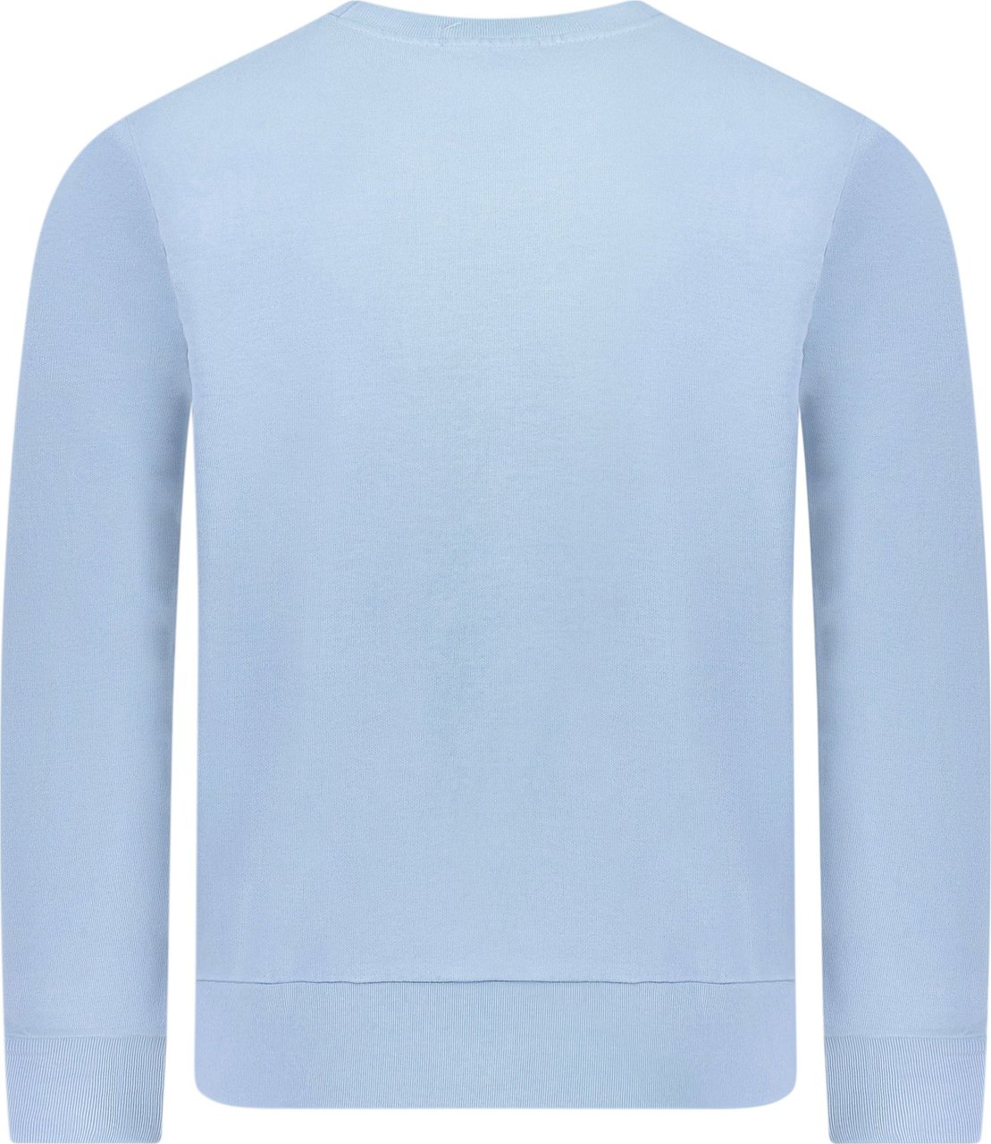 Ralph Lauren Polo Sweater Blauw Blauw
