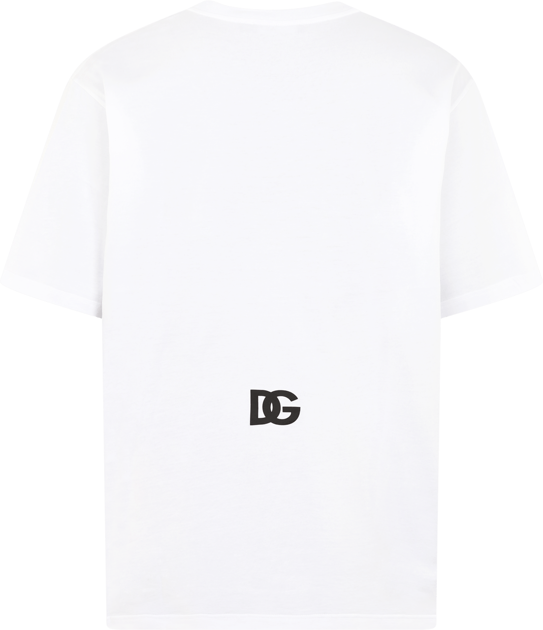 Dolce & Gabbana Heren DG logo print T-Shirt Wit Wit