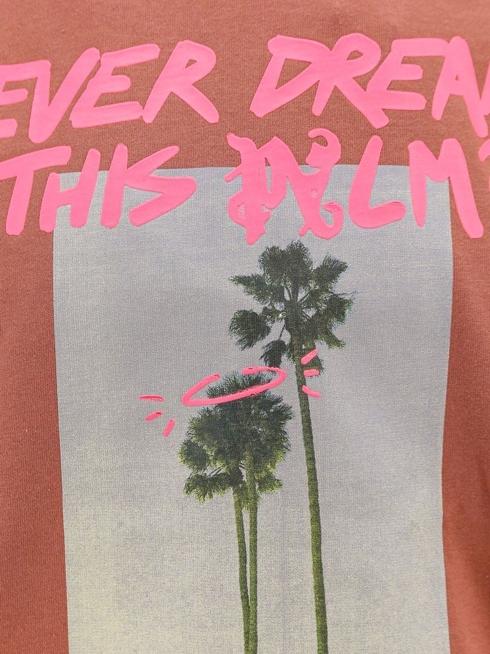 Palm Angels Palm Dream t-shirt with print on the front Bruin