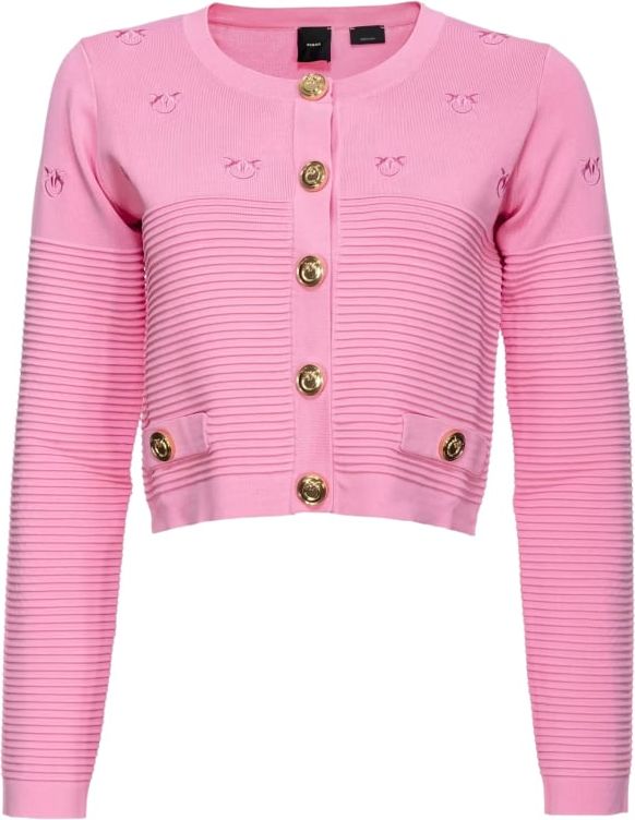 Pinko ciliegio giacca pink Roze