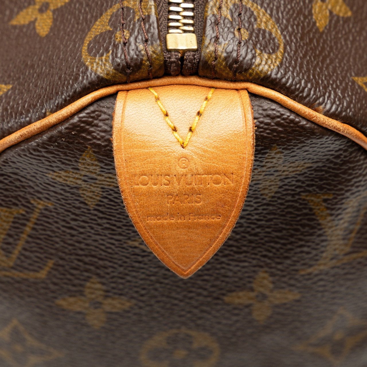 Louis Vuitton Monogram Speedy 25 Bruin