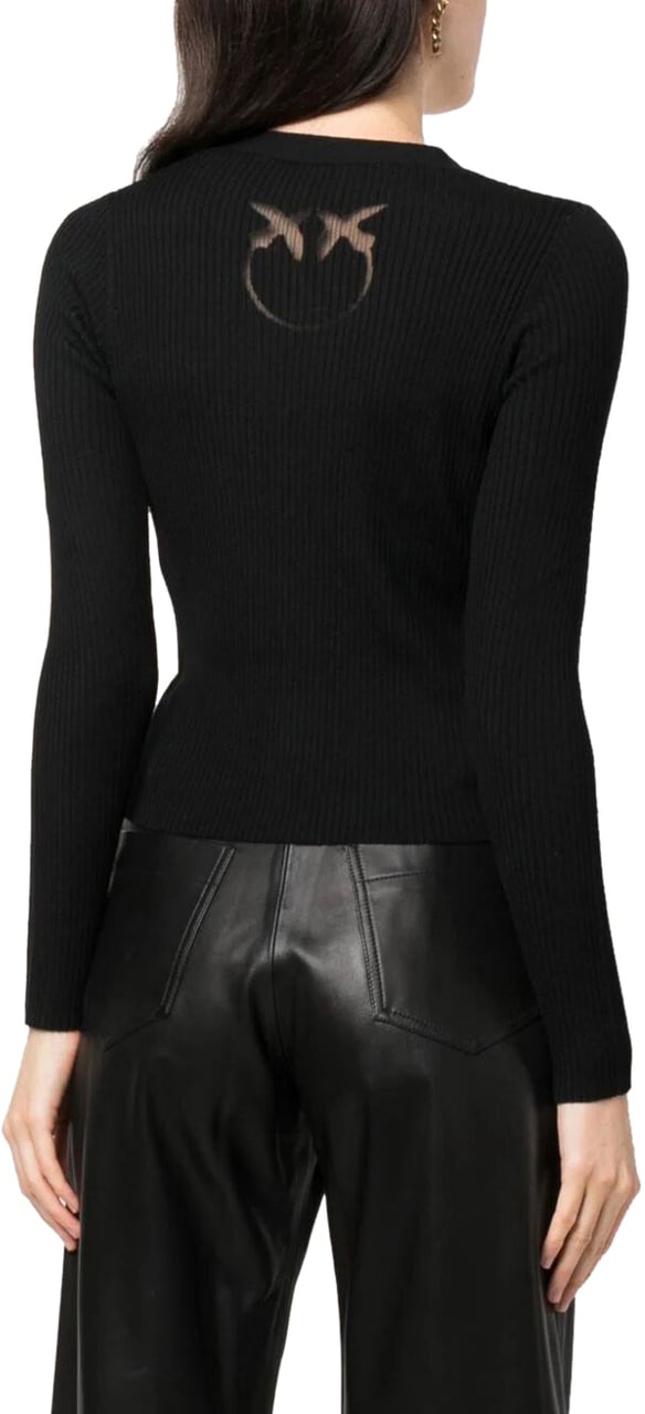 Pinko Sweaters Black Zwart