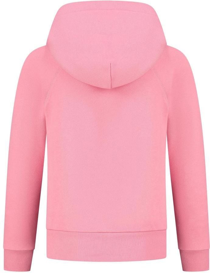 Ralph Lauren Sweatshirt Roze