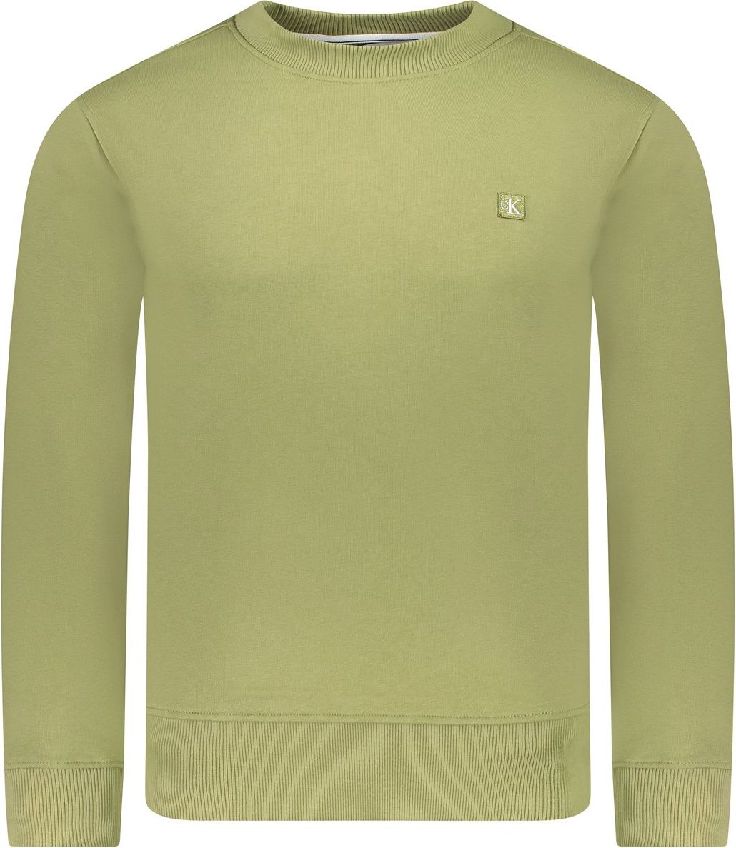 Calvin Klein Sweater Groen Groen