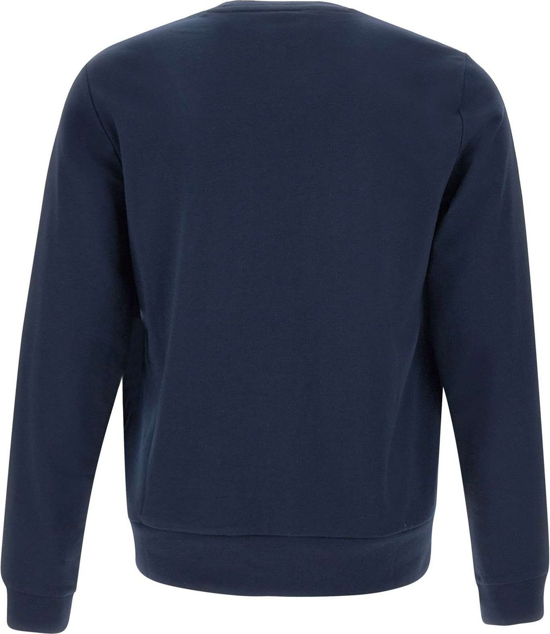 Ralph Lauren Polo Sweaters Blue Blauw
