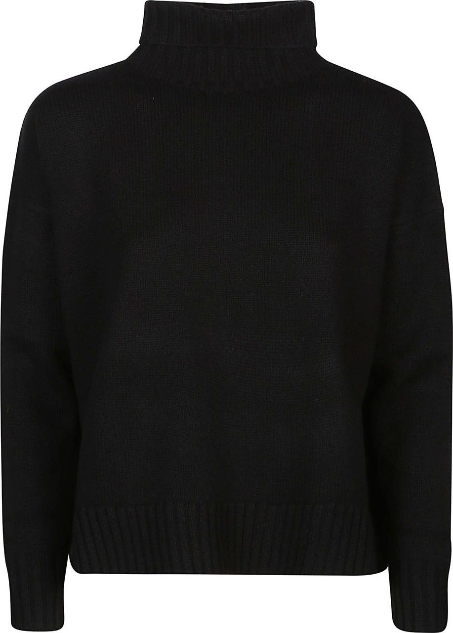 Max Mara Gianna Turtle Neck Sweater Black Zwart