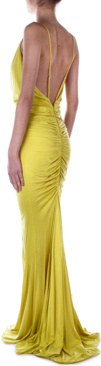 Elisabetta Franchi Red Carpet Dresses Yellow Geel