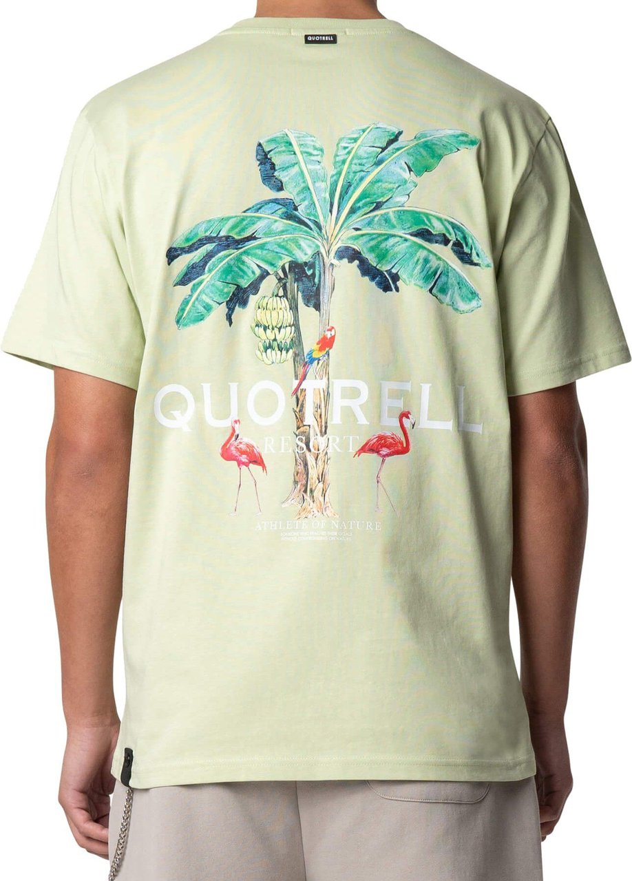 Quotrell Resort T-shirt | Light Green/white Grijs
