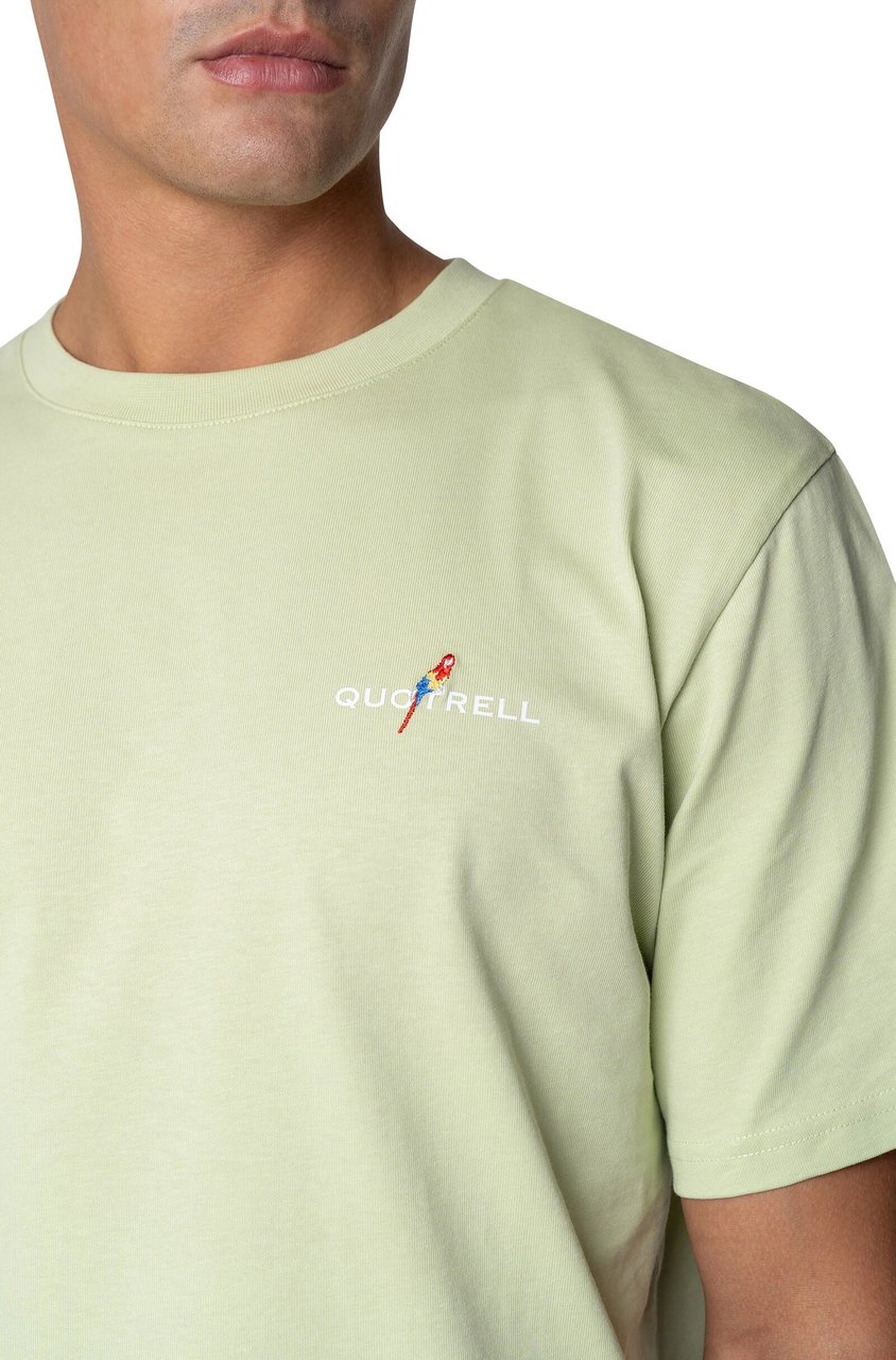 Quotrell Resort T-shirt | Light Green/white Grijs