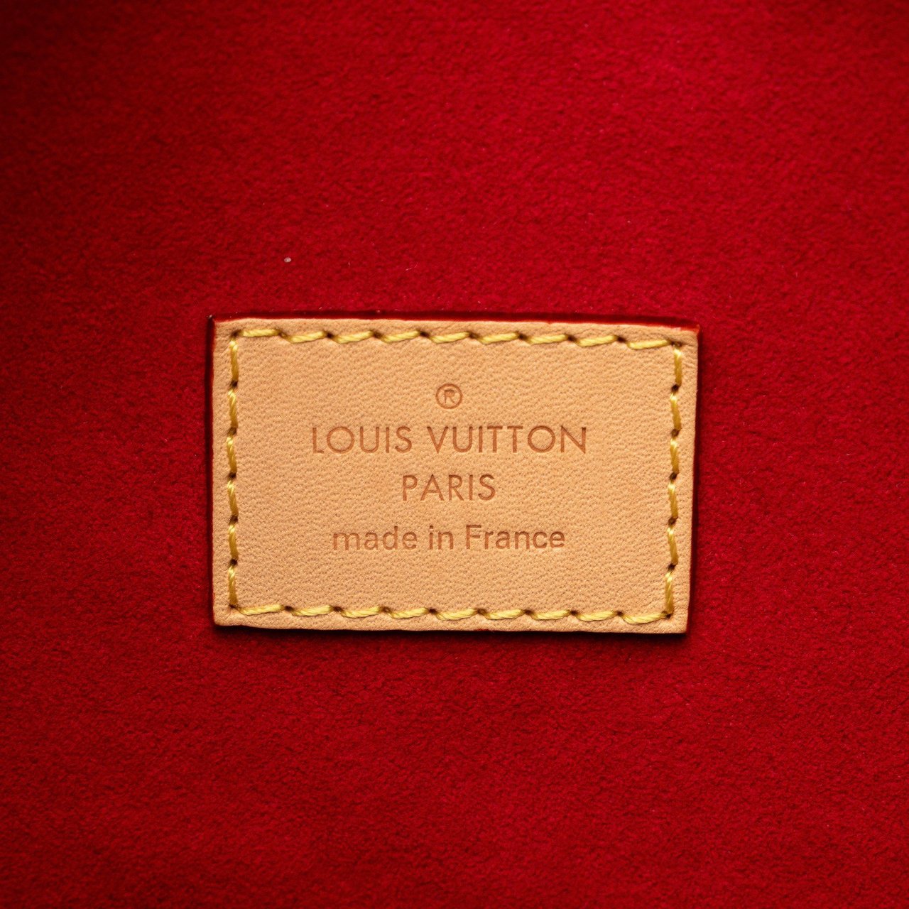 Louis Vuitton Monogram Gaia Bruin