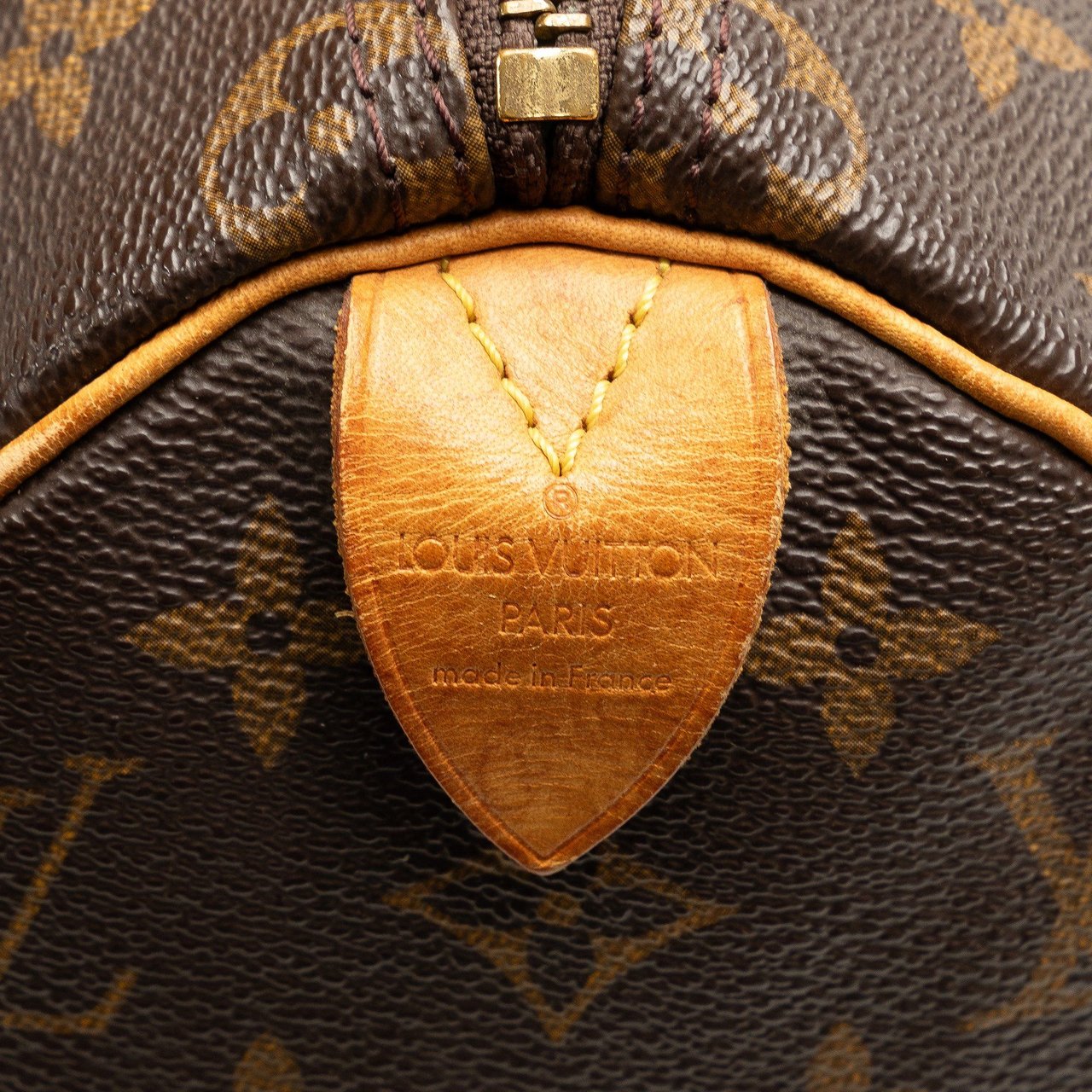 Louis Vuitton Monogram Speedy 25 Bruin