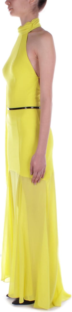Elisabetta Franchi Red Carpet Cedar Dress Yellow Geel
