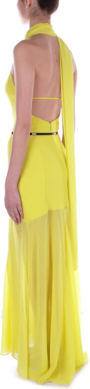 Elisabetta Franchi Red Carpet Cedar Dress Yellow Geel