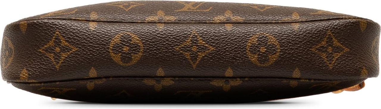 Louis Vuitton Monogram Pochette Accessoires Bruin