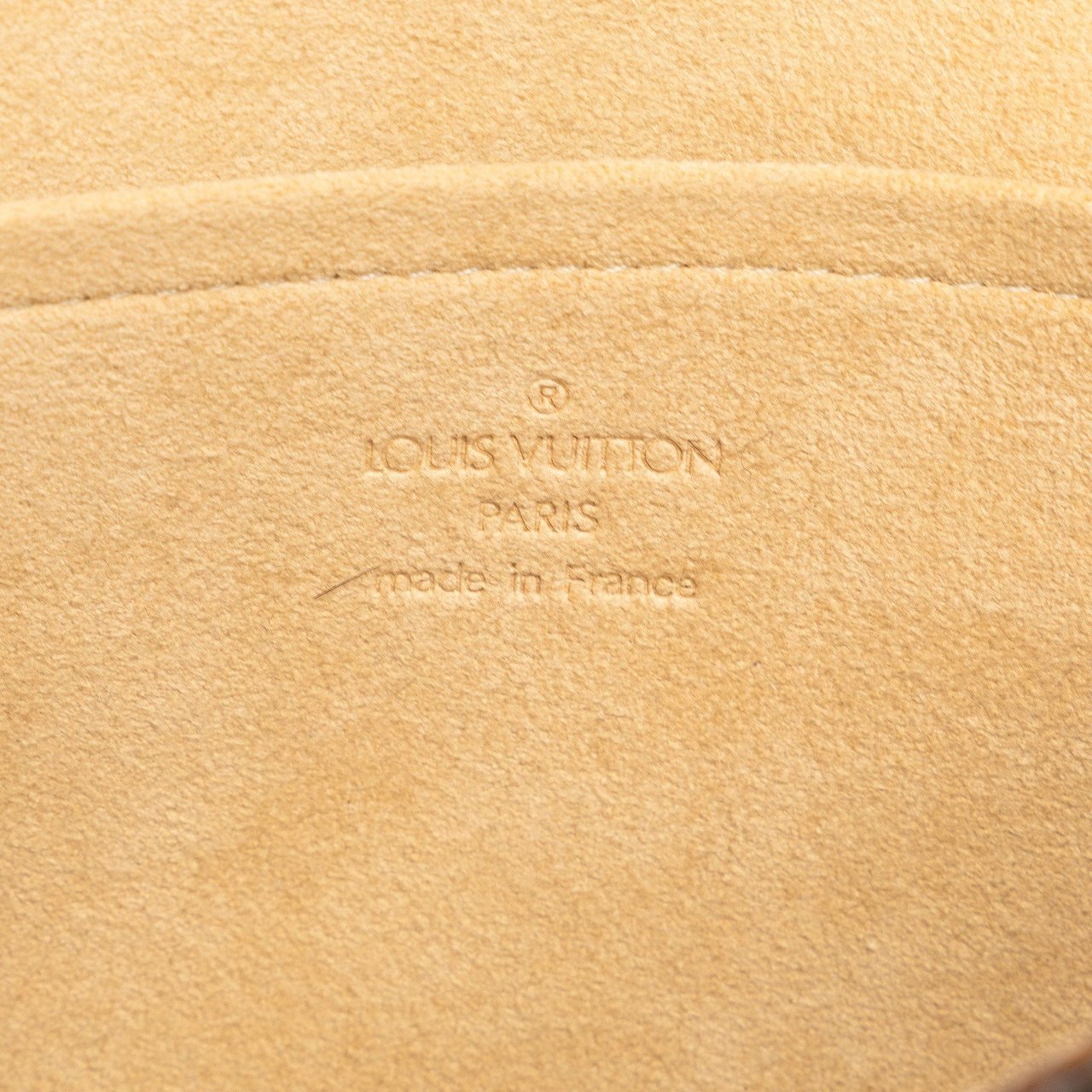 Louis Vuitton Monogram Pochette Twin GM Bruin