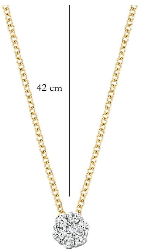 Blush Blush Collier 3602BDI 14k Geelgoud 0,07crt G SI Biljant geslepen Diamant Divers