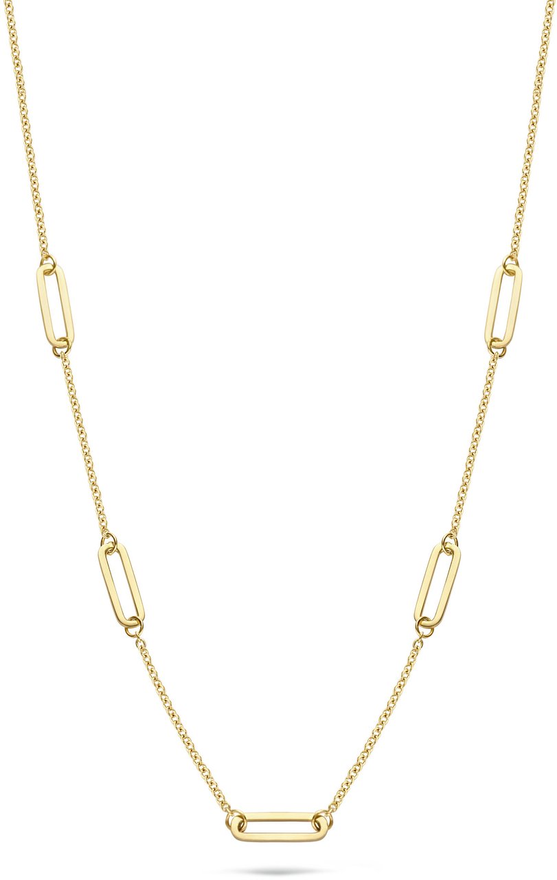 Blush Blush Collier 3102YGO 14k Geelgoud met Closed Forever Elementen 45cm Divers