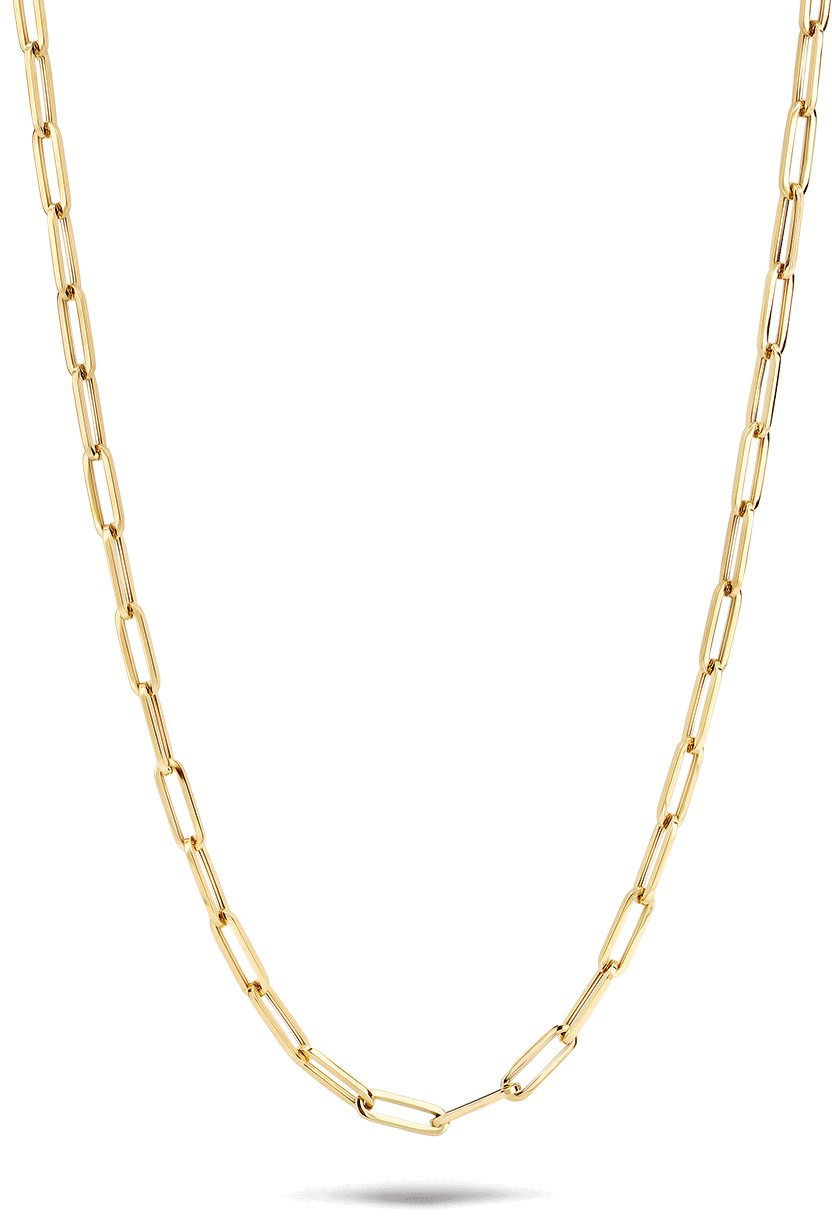 Blush Blush Collier 3101YGO 14k Geelgoud Closed forever Ketting 45cm Divers