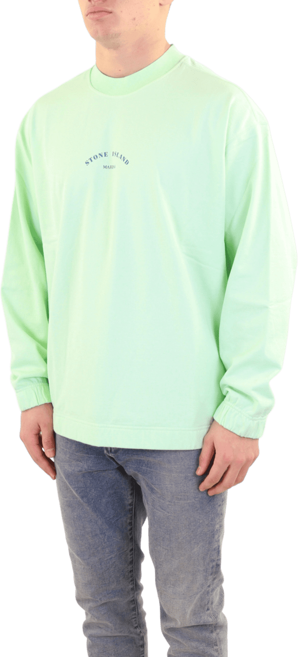 Stone Island Heren Felpa Groen