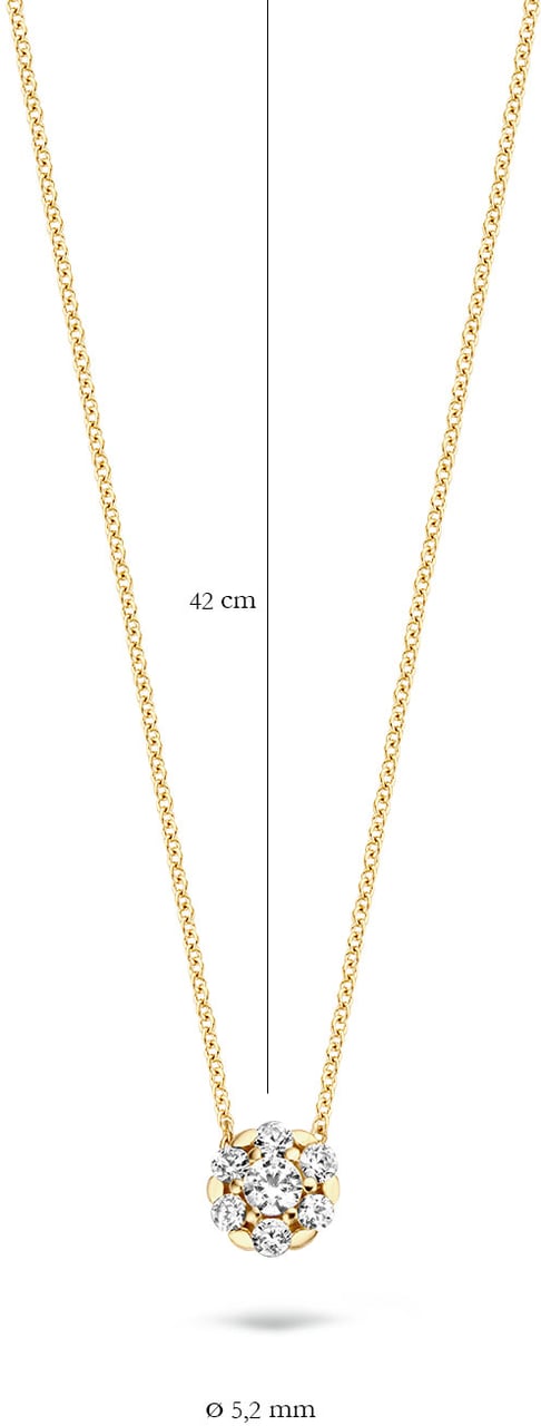 Blush Blush Collier met Hanger 3097YZI 14k Geelgoud met Briljant geslepen Zirkonia 42cm Divers