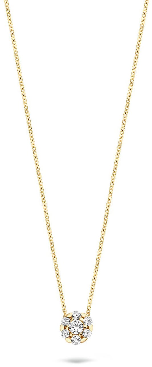 Blush Blush Collier met Hanger 3097YZI 14k Geelgoud met Briljant geslepen Zirkonia 42cm Divers