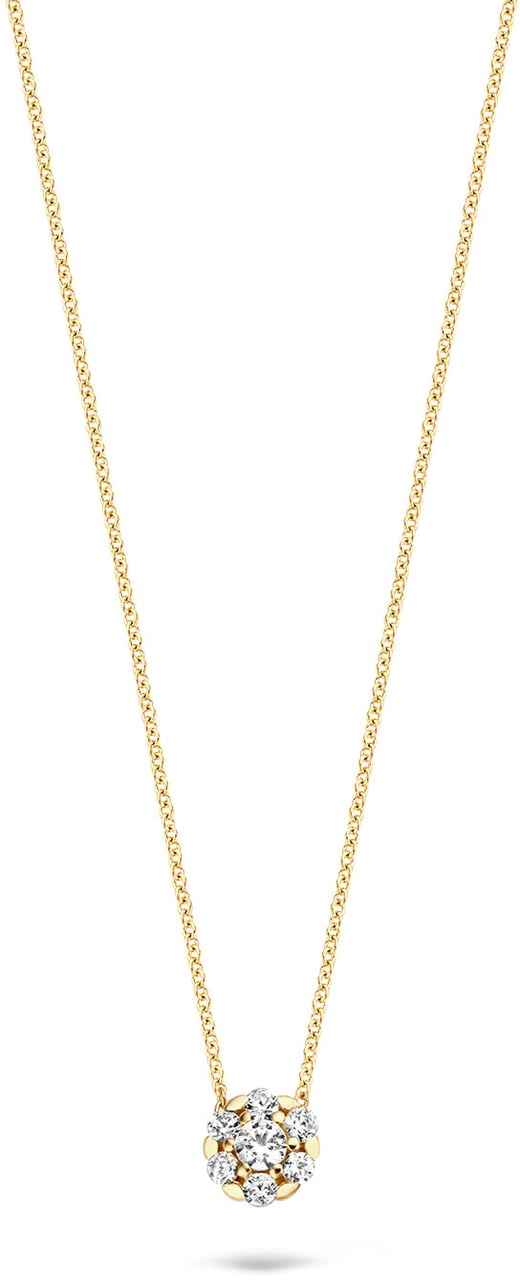 Blush Blush Collier met Hanger 3097YZI 14k Geelgoud met Briljant geslepen Zirkonia 42cm Divers