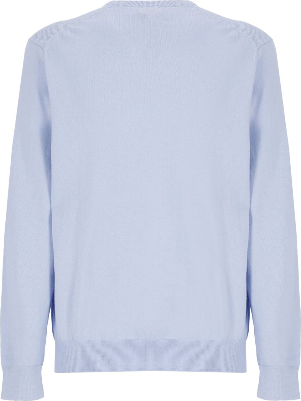 Ralph Lauren Sweaters Light Light Blue Blauw