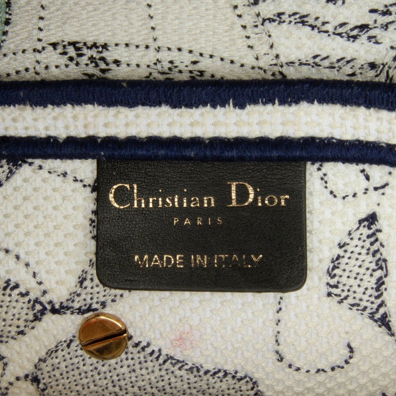 Dior Around the World Saddle Bag Wit