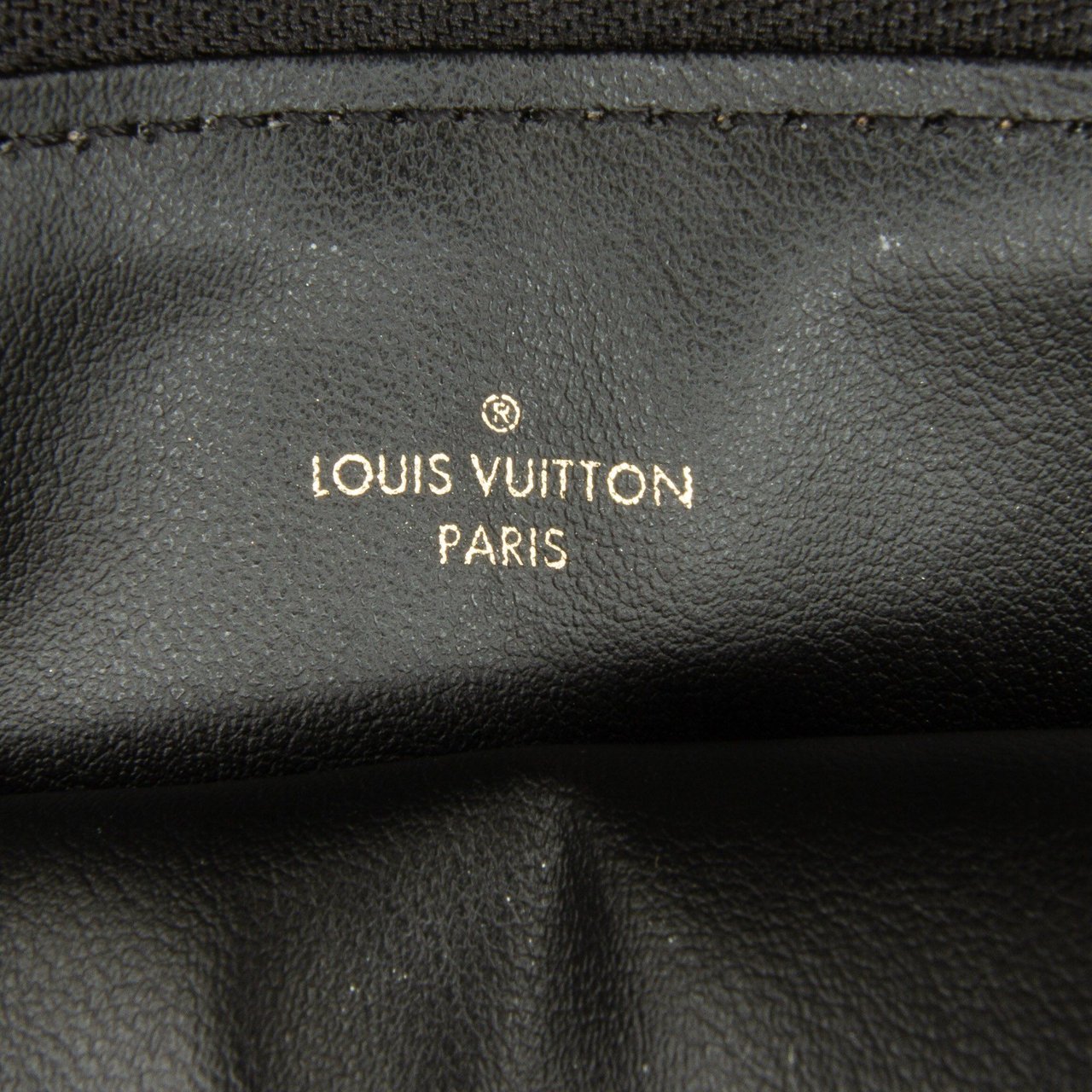Louis Vuitton Monogram Empreinte Wild at Heart Pochette Felicie Zwart
