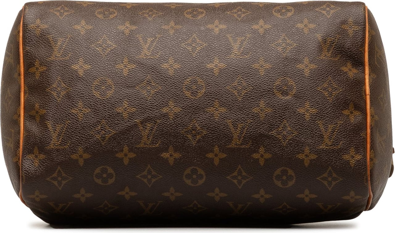 Louis Vuitton Monogram Speedy 30 Bruin