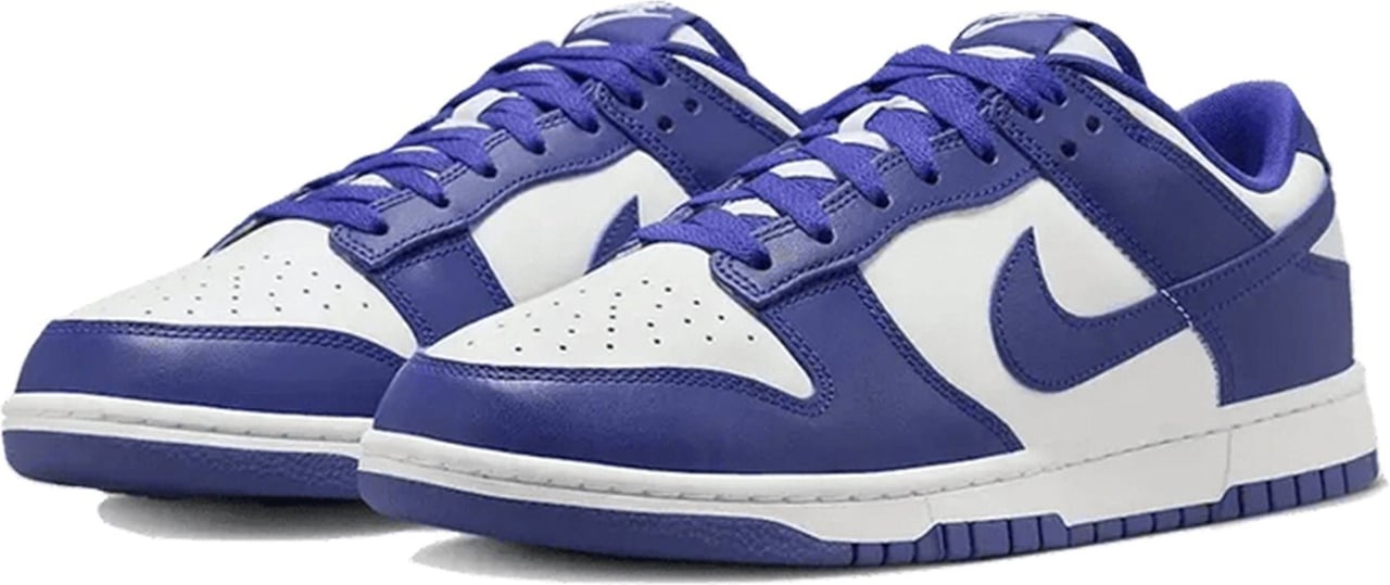 Nike Nike Dunk Low Concord Divers
