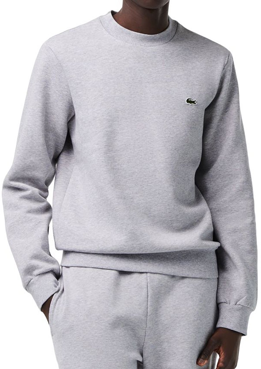 Lacoste Lacoste Sweaters Grey Grijs