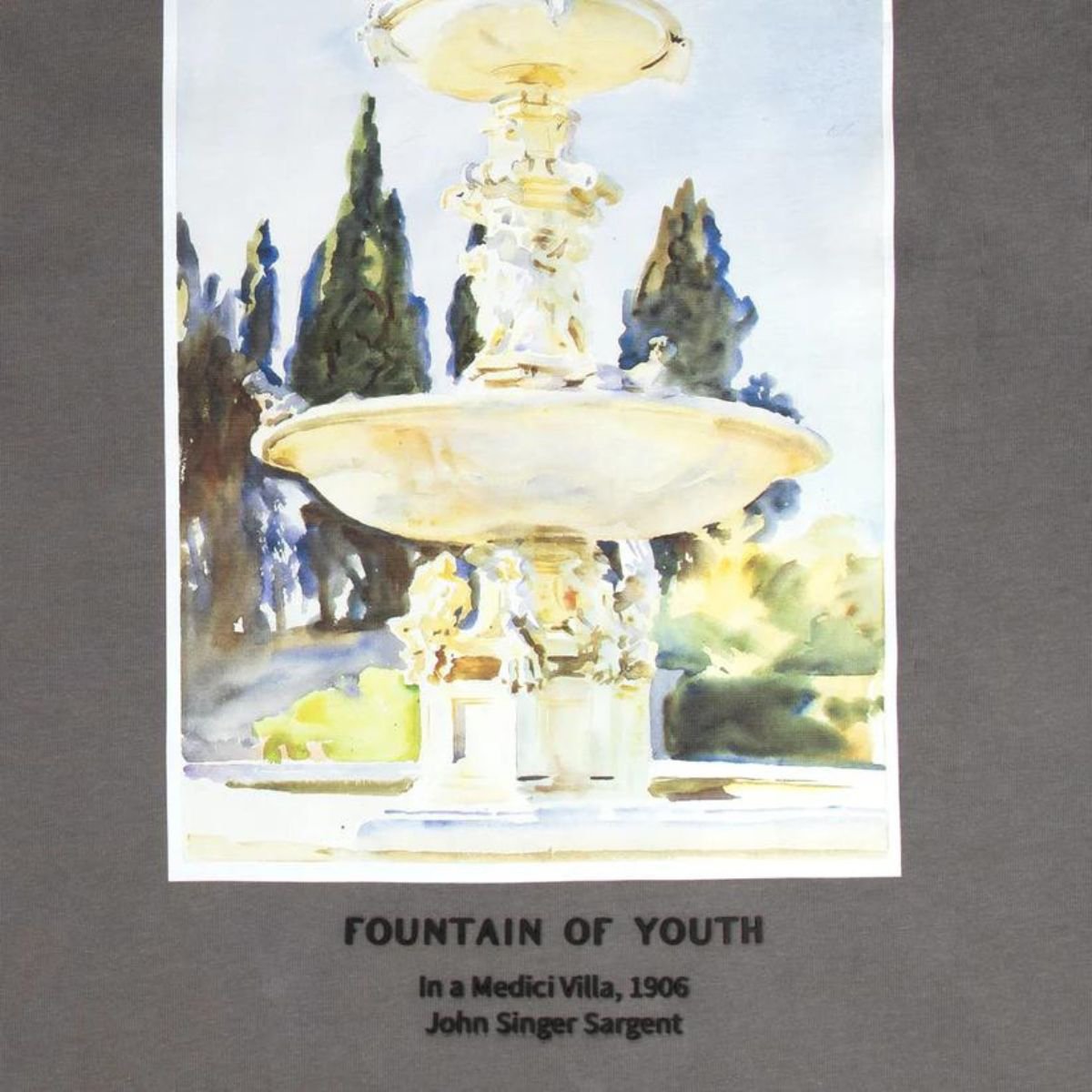 Fountain of Youth Fountain Of Youth T-Shirt Medici Grijs
