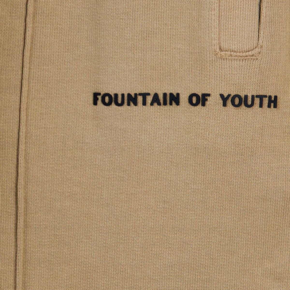 Fountain of Youth Fountain Of Youth Shorts Claude Bruin
