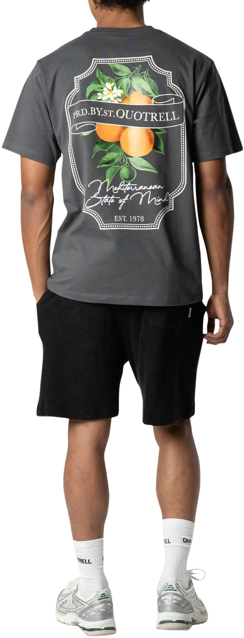 Quotrell Mineola Tee | Anthracite/white Zwart