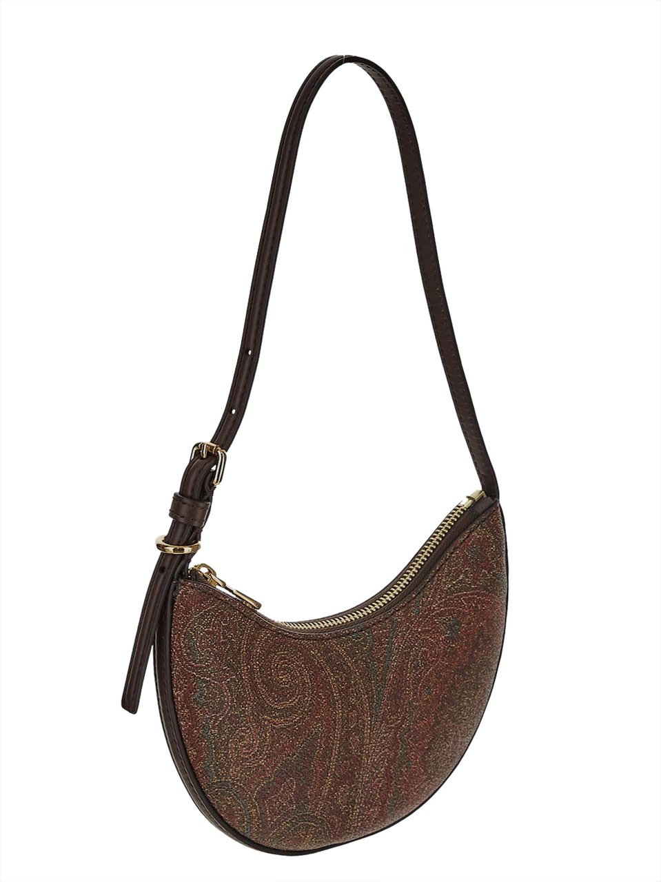 Etro Bags Brown Bruin
