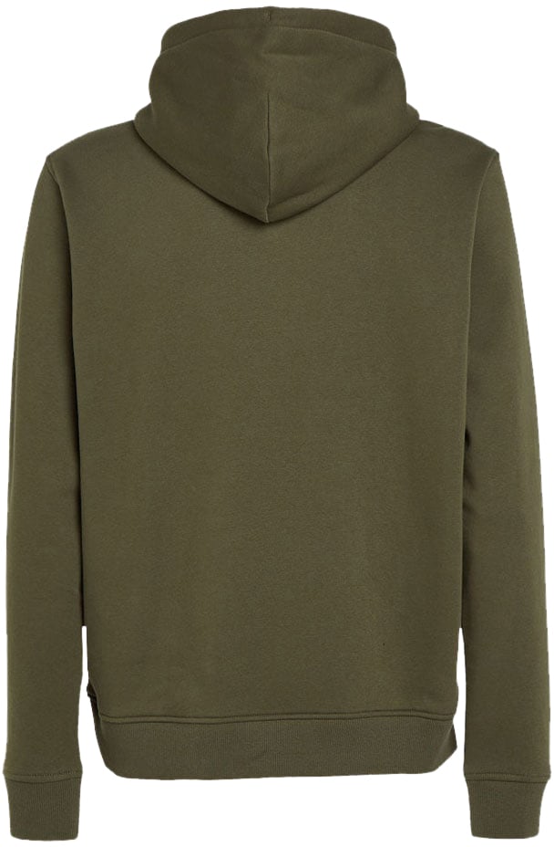 Tommy Jeans Tommy Jeans Reg Linear Gold Hood Ext Groen