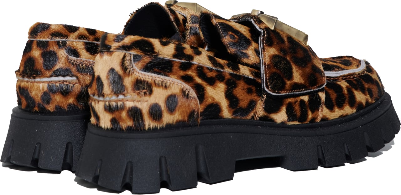 Dsquared2 793 44 Pony Dierenprint
