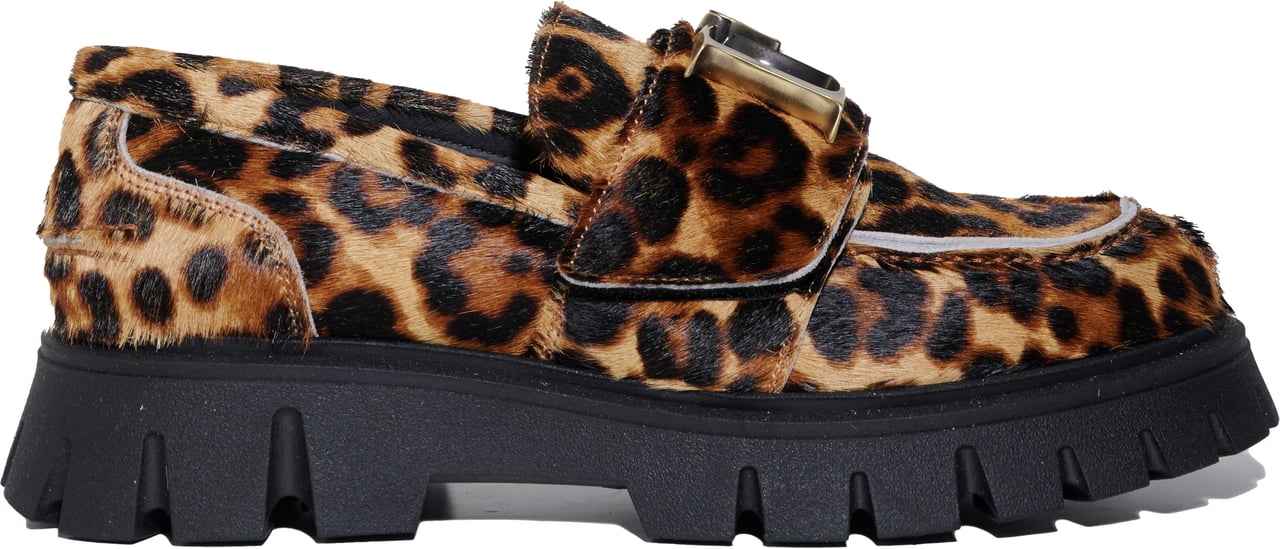 Dsquared2 793 44 Pony Dierenprint