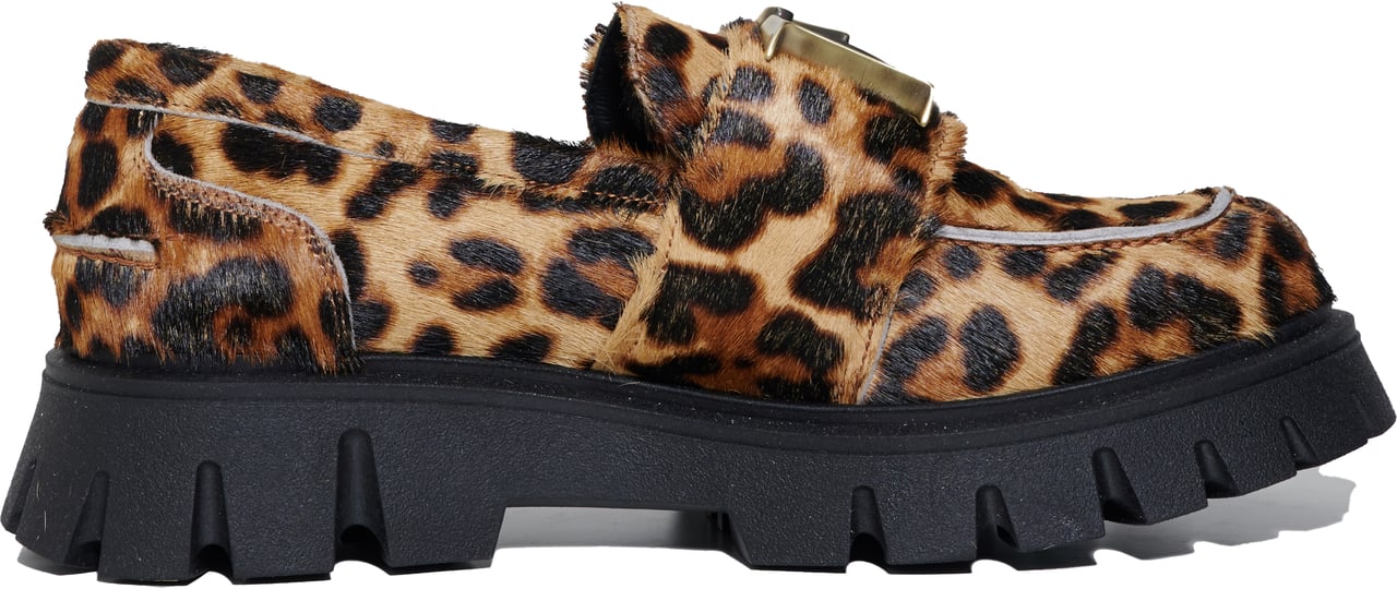 Dsquared2 793 44 Pony Dierenprint