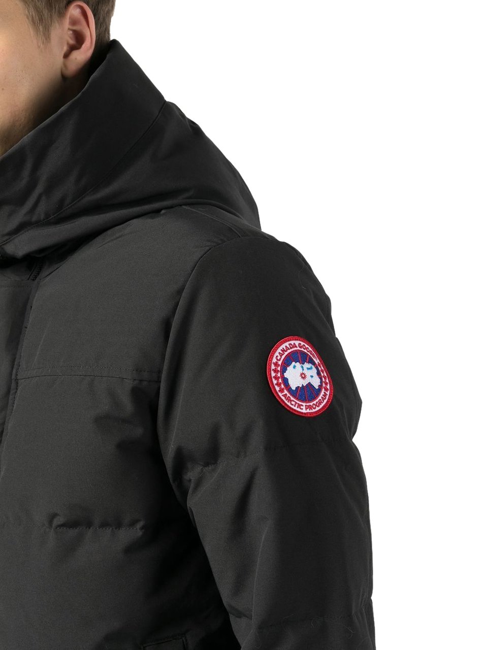 Canada Goose Canada Goose Gewatteerde Jas Zwart MacMillan Zwart