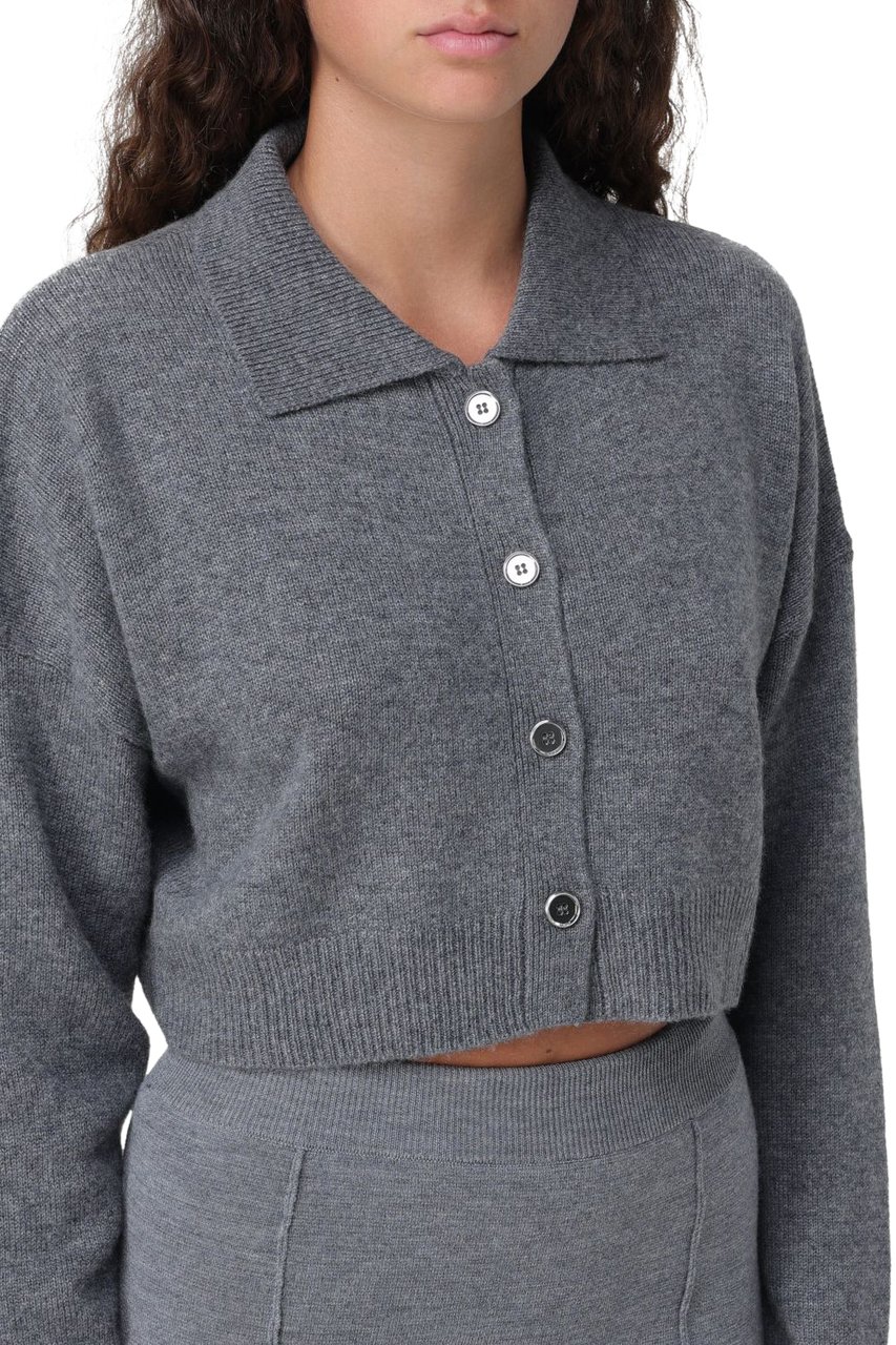 Pinko Sweaters Grey Grijs
