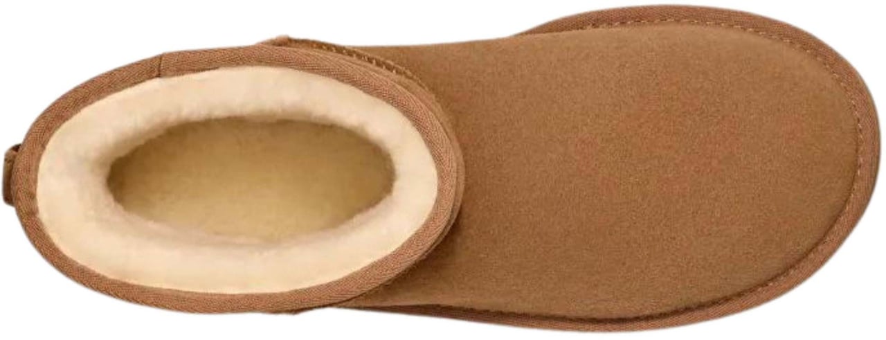 UGG Dames Classic Mini Platform Chestnut Beige