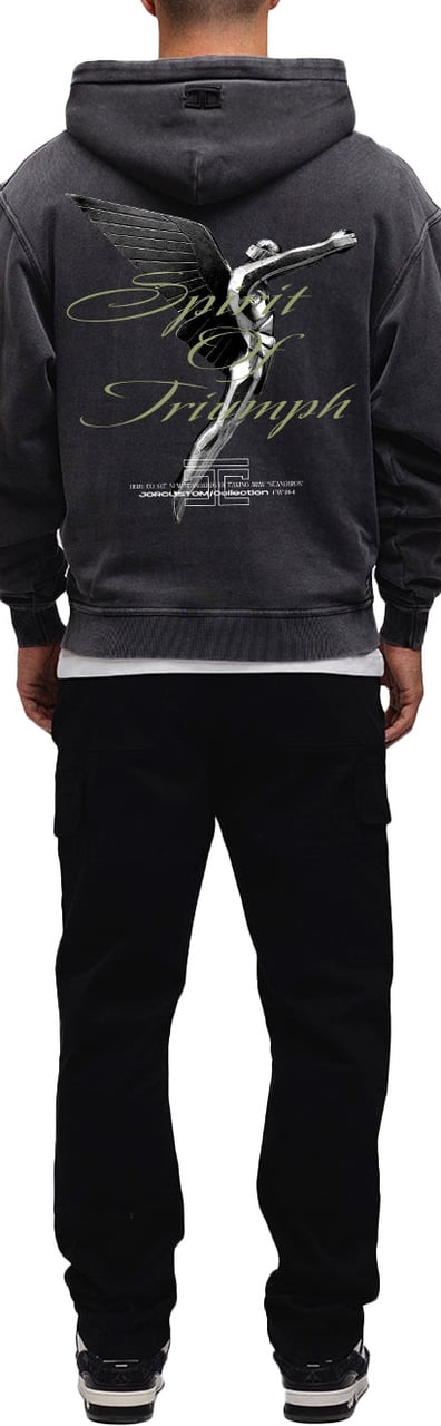 JORCUSTOM Triumph Zipped Hoodie AcidGrey Grijs