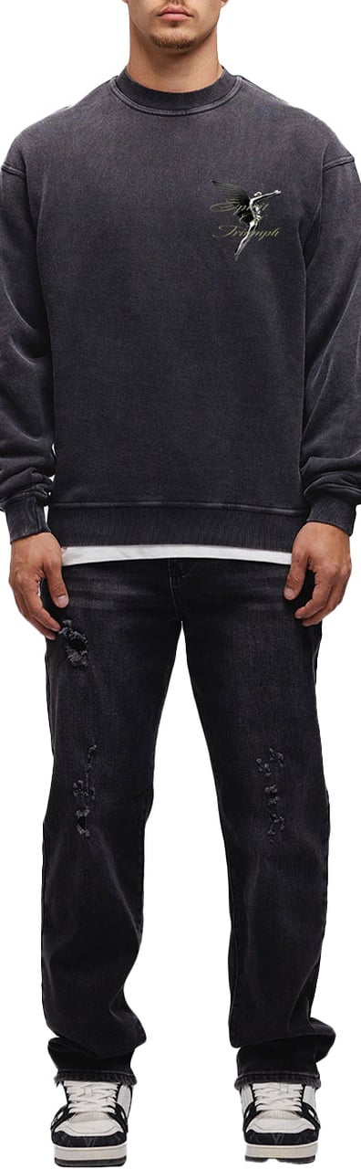 JORCUSTOM Triumph Crewneck Sweater AcidGrey Grijs