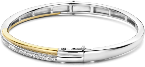 Ti Sento Ti Sento Armband 23045ZY Bangle Zilver Bi-color met Zirkonia Maat 60 Divers