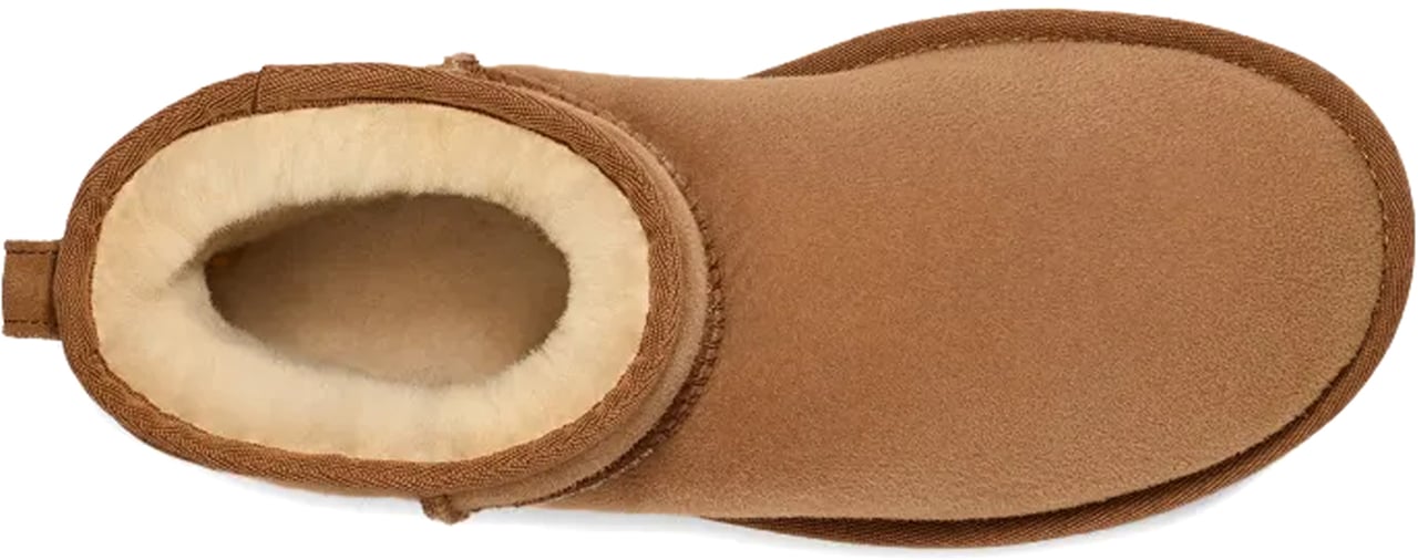 UGG UGG Biscuit suede Classic Mini II ankle boots Bruin