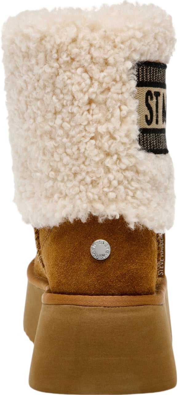 Steve Madden Dames Laars Bruin