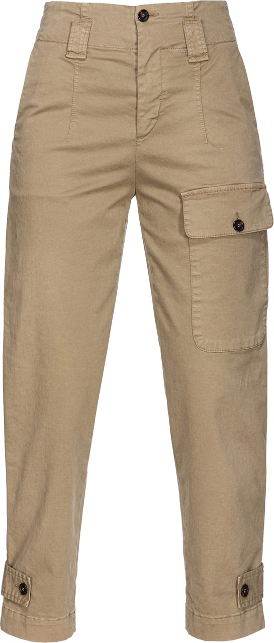 Pinko Trousers Marrone Legno Dolmo Bruin