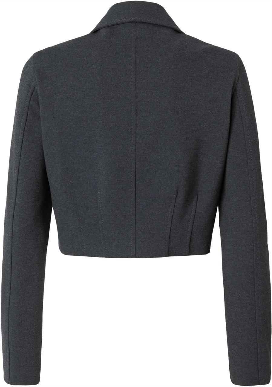 Pinko Jackets Grigio Corvo Groen